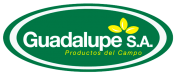 logo guadalupe